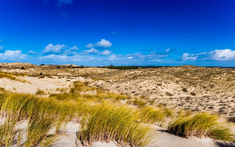 Dunes blanche oyats côte sauvage