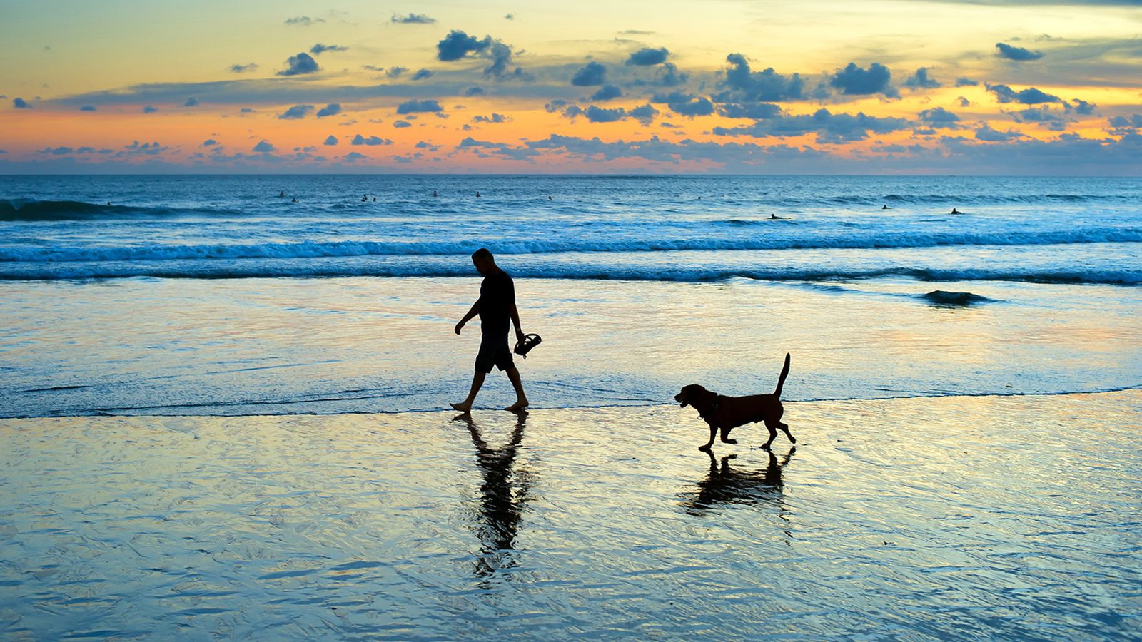 go-holidays-with-dog-royan-atlantique