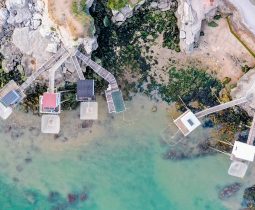 Meilleurs spots pour observer des Carrelets Royan Atlantique