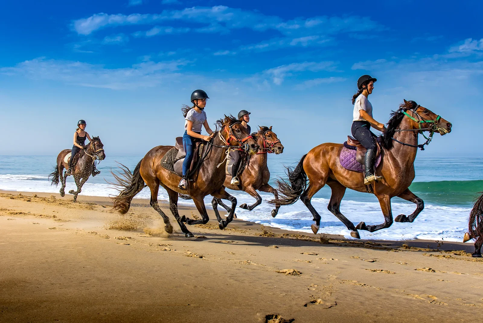 Horseback riding Royan beach