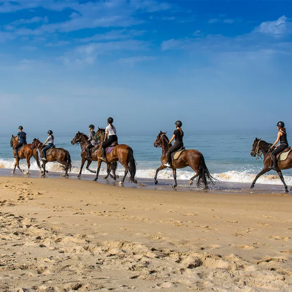 Balade à cheval sur la plage de la Grande Côte