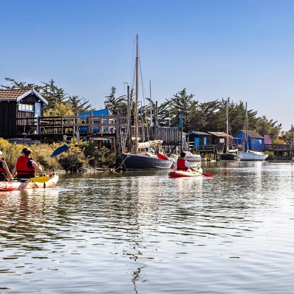 Rando nature en kayak sur la Seudre à Mornac