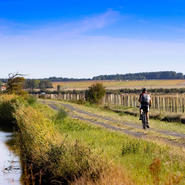Rando vélo en pleine nature