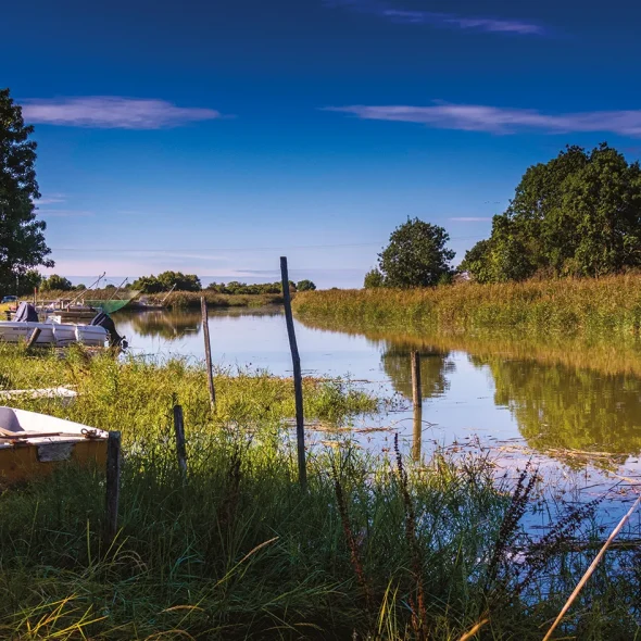 Randonnée en famille sur les bords de Seudre à Saujon