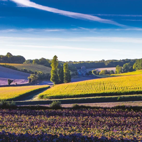 Balade nature en famille dans la campagne de Floirac