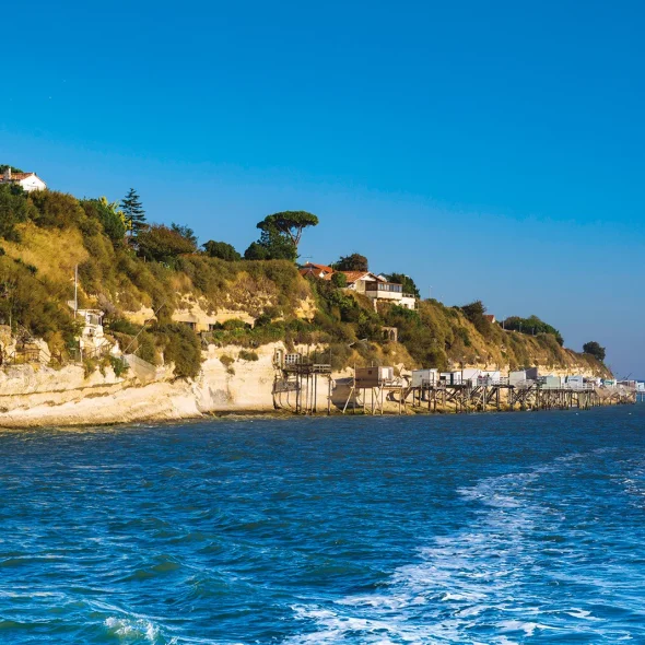 Promenade en famille à la découverte des falaises de Meschers
