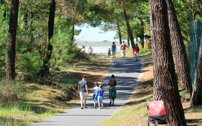 Balades à pied en famille entre mer et forêt à Royan Atlantique