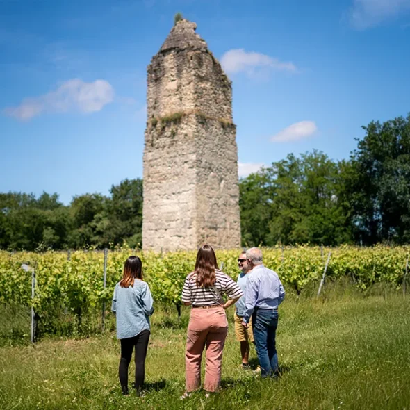 Visite du domaine viticole de Pirelonge à Saint-Romain-de-Benet