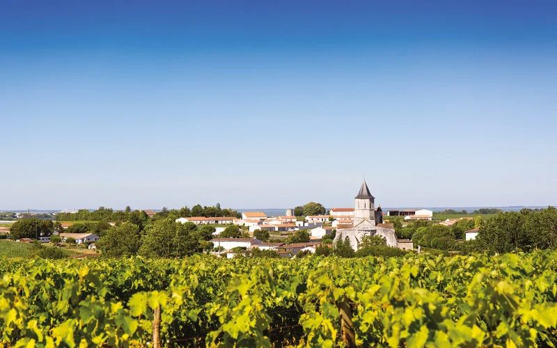 Court séjour nature entre vignobles et patrimoine