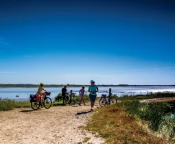 Court séjour nature à vélo autour de la Seudre
