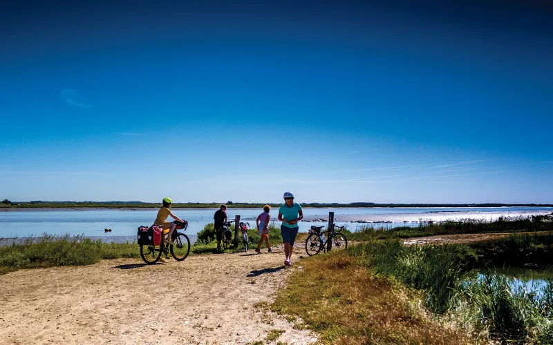 Court séjour nature à vélo autour de la Seudre