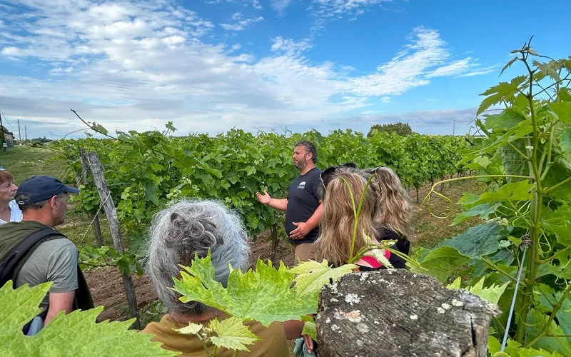 Domaines viticoles Hébergements Vignobles et Découvertes : Visite découverte des vignobles à l'occasion de Festi'Vignobles