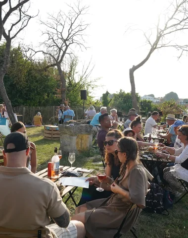 Soirée festive à Festi'Vignobles