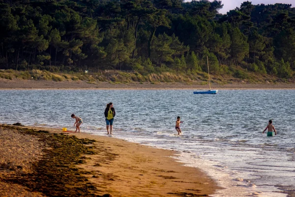 Plage familiale de la Cèpe à Ronce-les-Bains